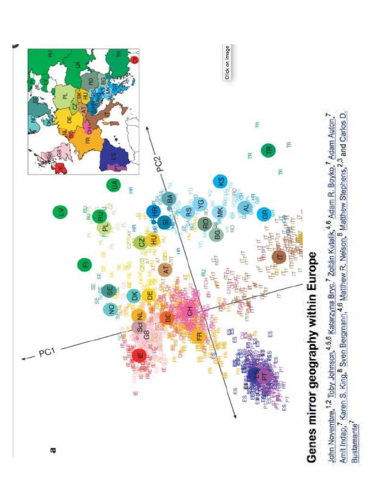 Spatial Autocorrelation 2 | PDF