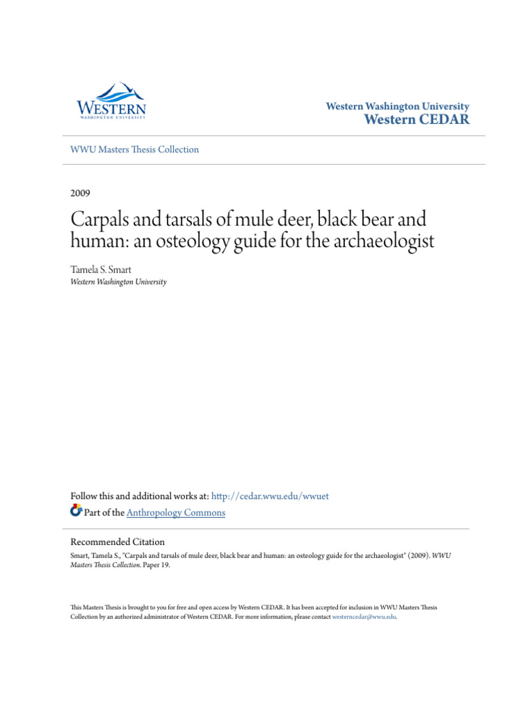 Carpals and tarsals of mule deer black bear and human- an osteol | PDF