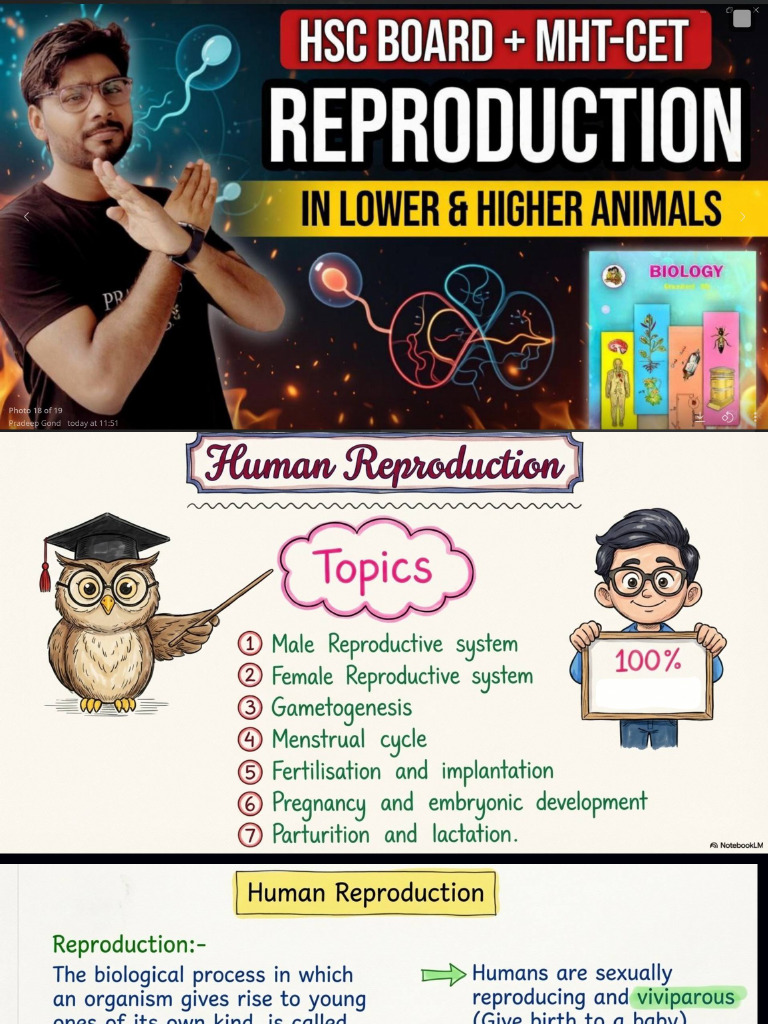 reproduction in lower and higher animals pdf for students_compressed | PDF