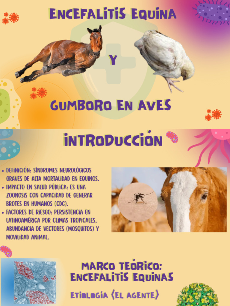 Encefalitis Equina | PDF | Virus | Enfermedades y trastornos