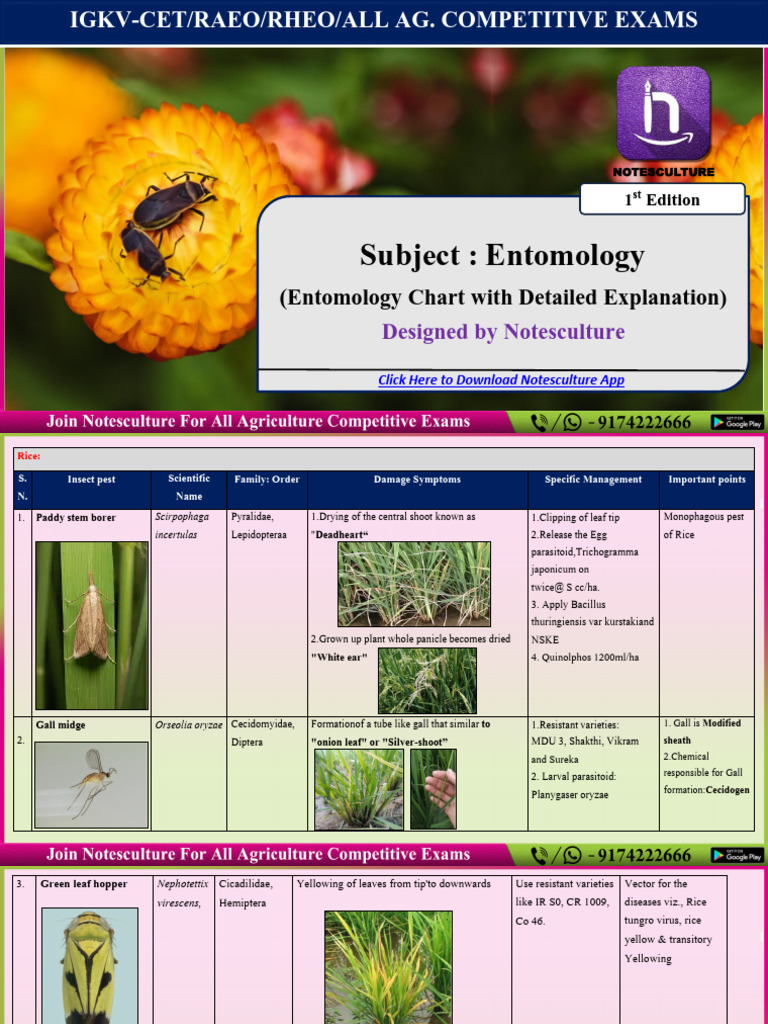 Insect Pest Sample Chart | PDF | Pest (Organism) | Insects