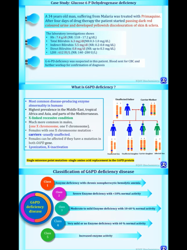 g6pd Deficiency | PDF