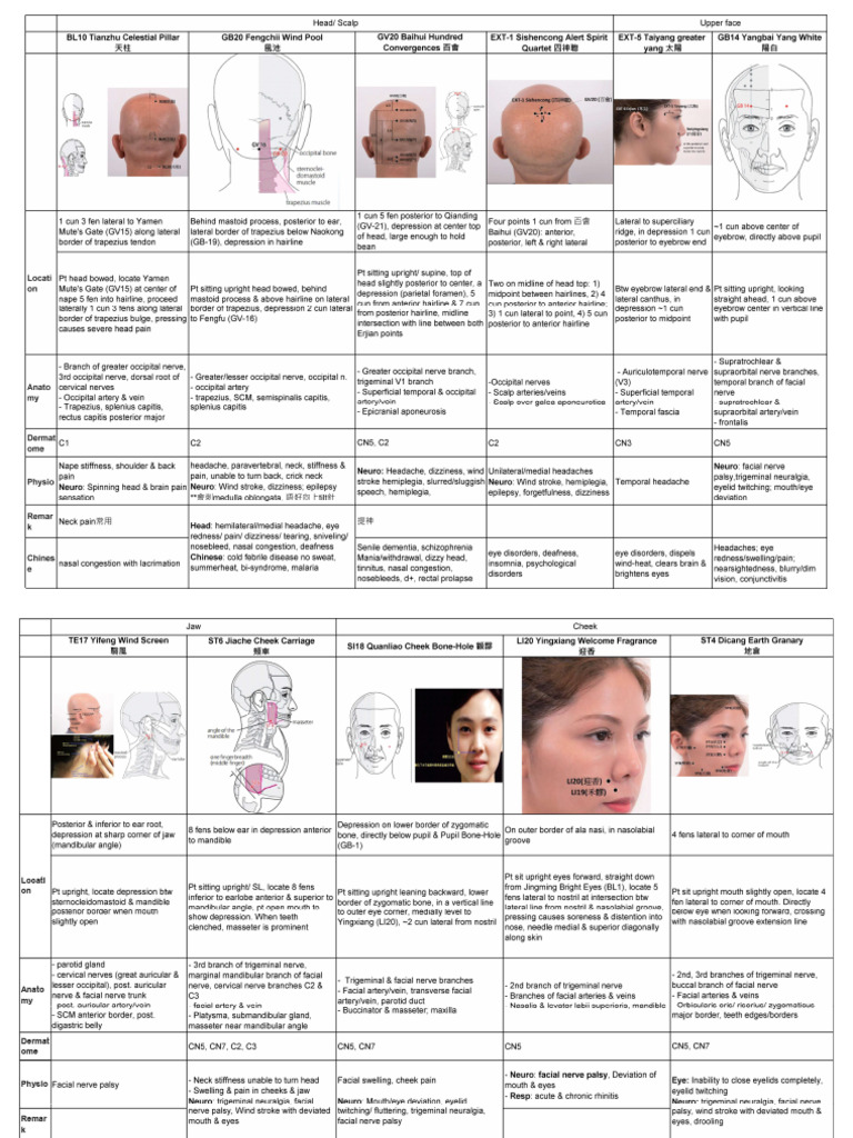 Acu Head | PDF | Human Anatomy | Human Head And Neck