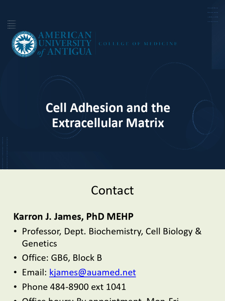 16 CellAdhesion&ECM - W2026 - STUDENTS | PDF | Extracellular Matrix ...