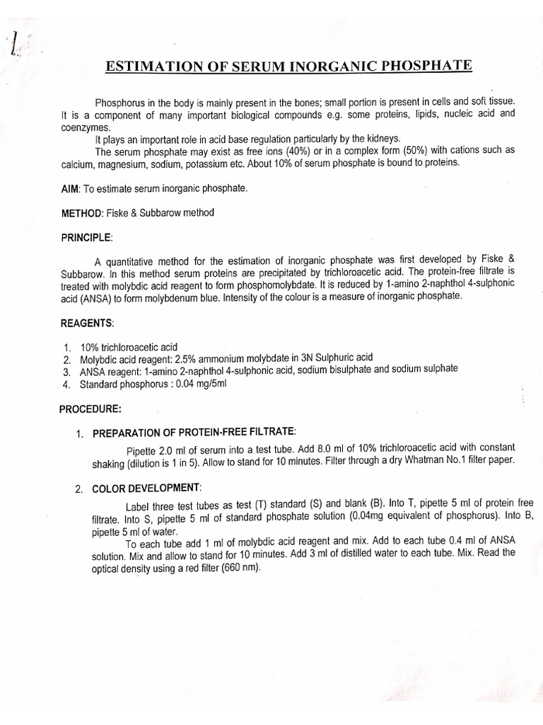 Biochemistry Handout | PDF