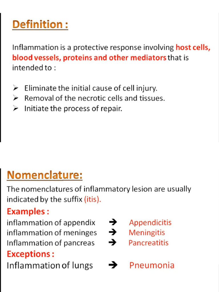 Inflammation | PDF
