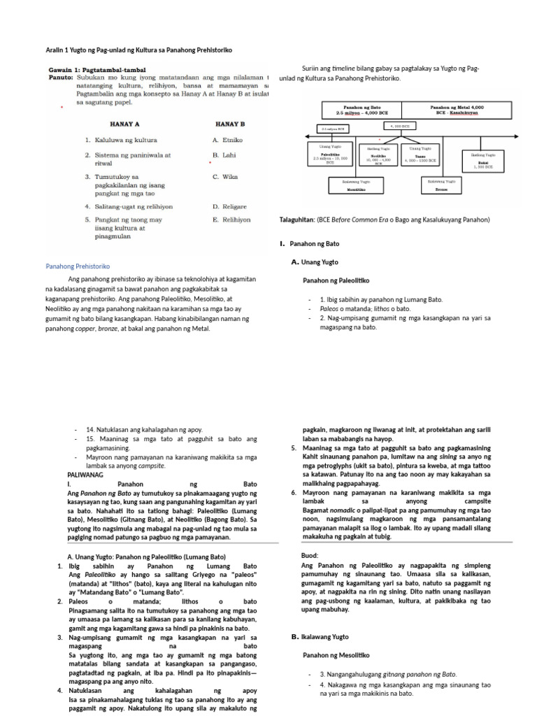 Module 3 Ap8 | PDF