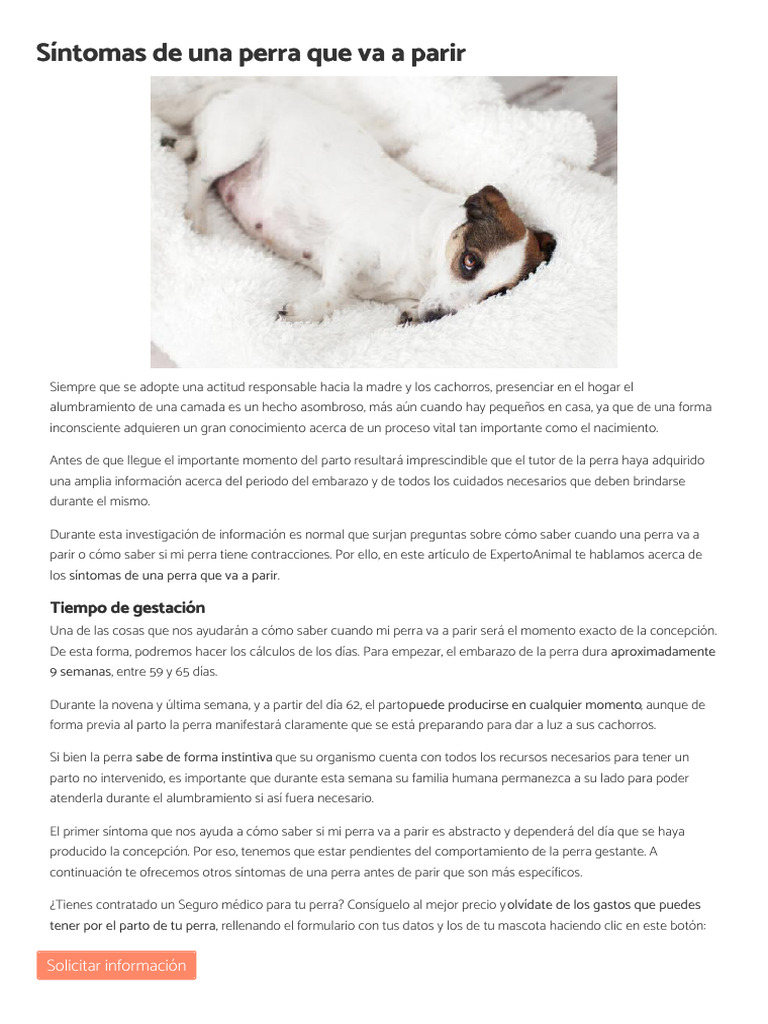 Síntomas_de_una_perra_que_va_a_parir_-_expertoanimal.com_(1) | PDF ...