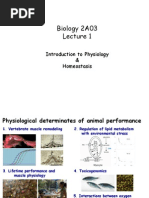 Download 2A03 lectures1-33 by ampedm SN1009164 doc pdf