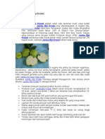 Download Budidaya Jambu Biji Kristal by kokoelieser SN100917512 doc pdf