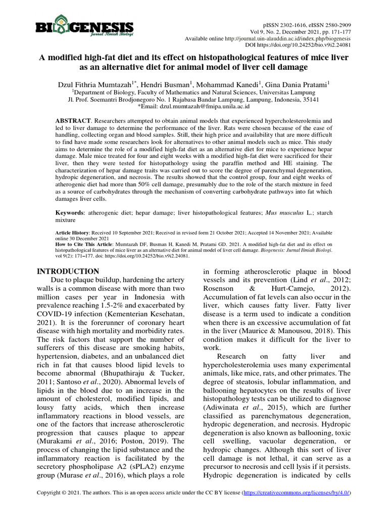 A Modified High Fat Diet and Its Effect | PDF