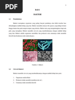 Download pertumbuhan  perkembangbiakan bakteri by Boimx Zao SN100920686 doc pdf