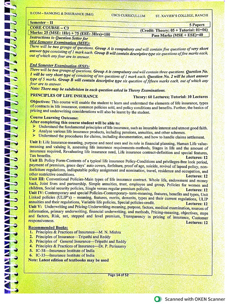 BCom B&I Sem II | PDF