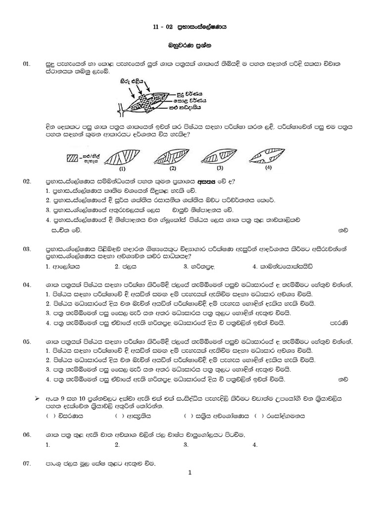 11-02 | PDF