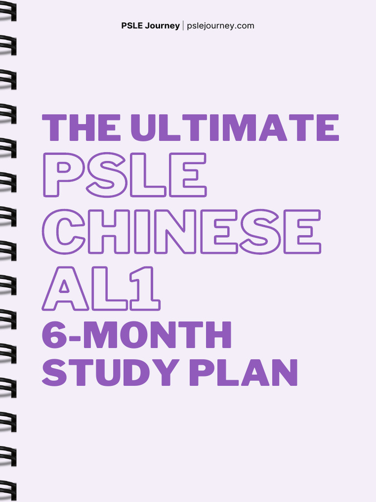 2025 PSLE Chinese AL1 6-Month Study Plan | PDF | Reading Comprehension ...