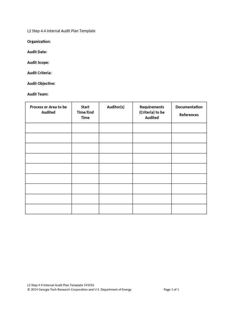 L2 Step 4 - 4 Tool Internal Audit Plan Template | PDF
