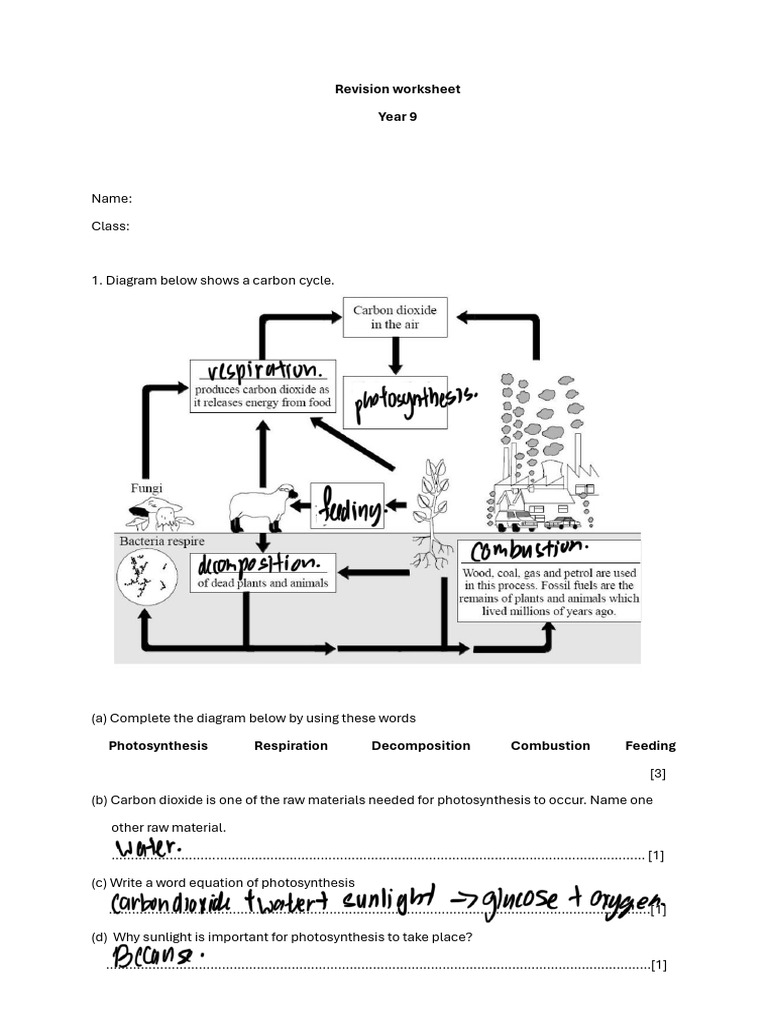 Y9 Science Revision Worksheet CH1-CH3 | PDF | Ion | Chlorine