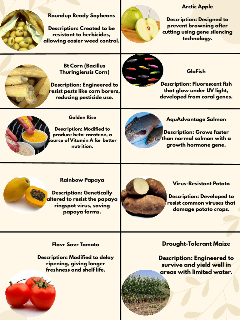 10 Generically Modified Organisms | PDF