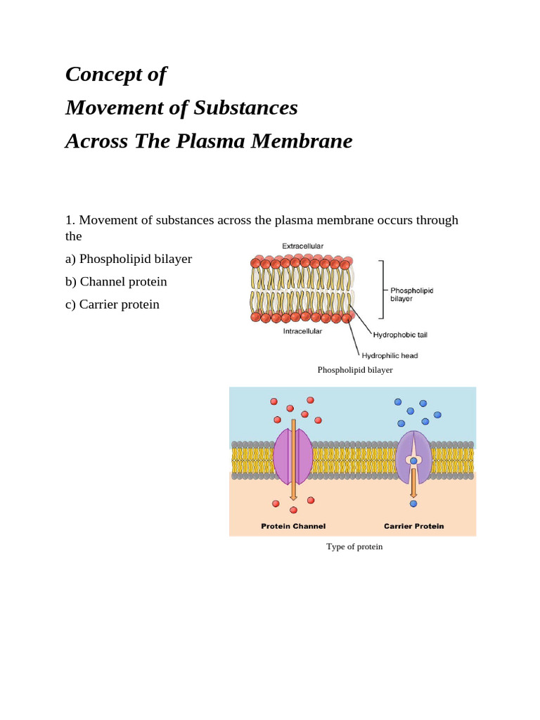 Concept of Movement of Substances That Move Across The Plasma Membrane ...