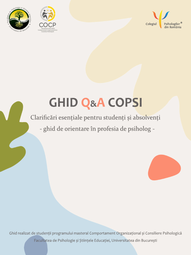Ghid Final Q A Copsi | PDF