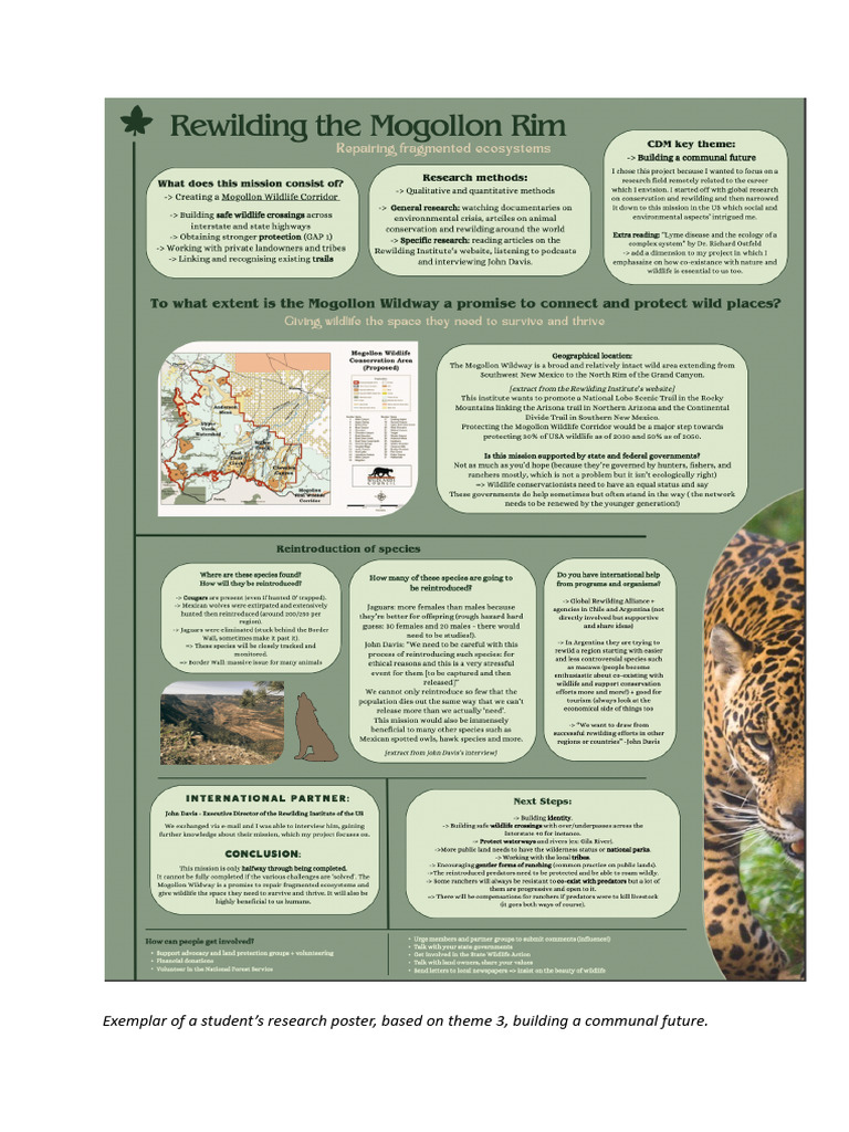 CDM Poster Examples | PDF
