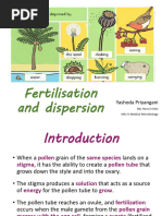 Seed Formation and Dispersal Methods | PDF | Fertilisation | Flowers