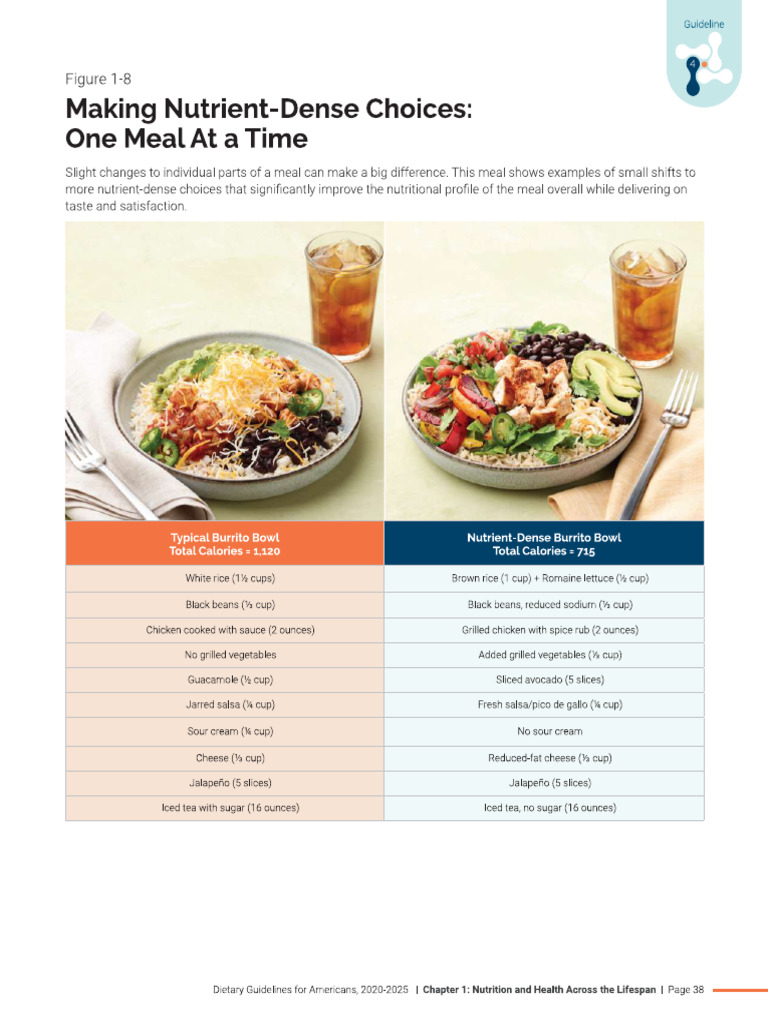 Diet | PDF