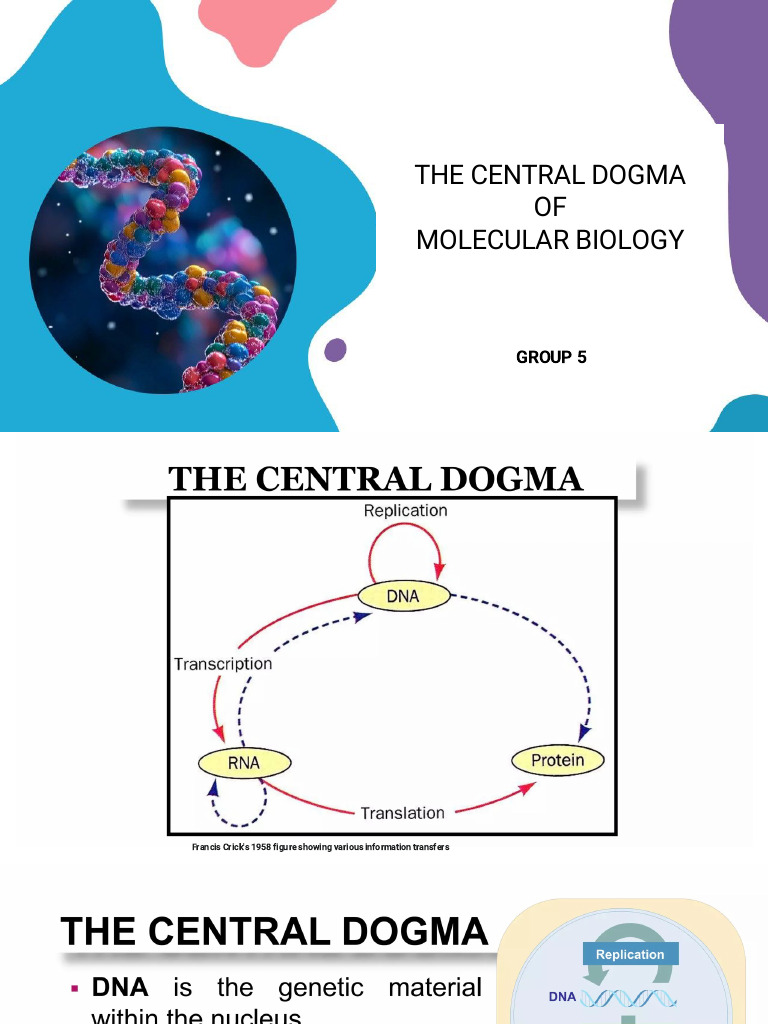 The Central Dogma of Molecular Biology | PDF