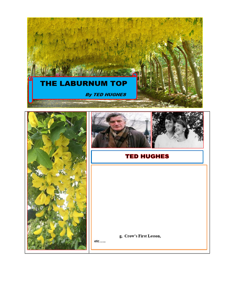 The Laburnum Top PDF | PDF