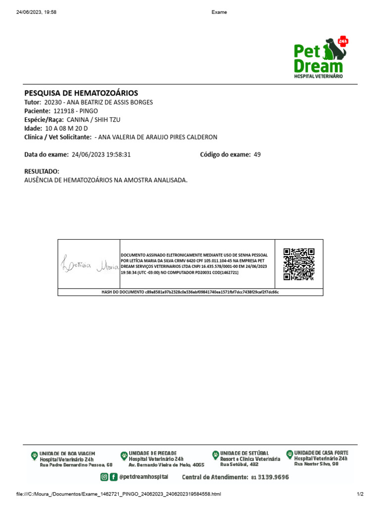 121918 PINGO PESQUISA 24062023 | PDF