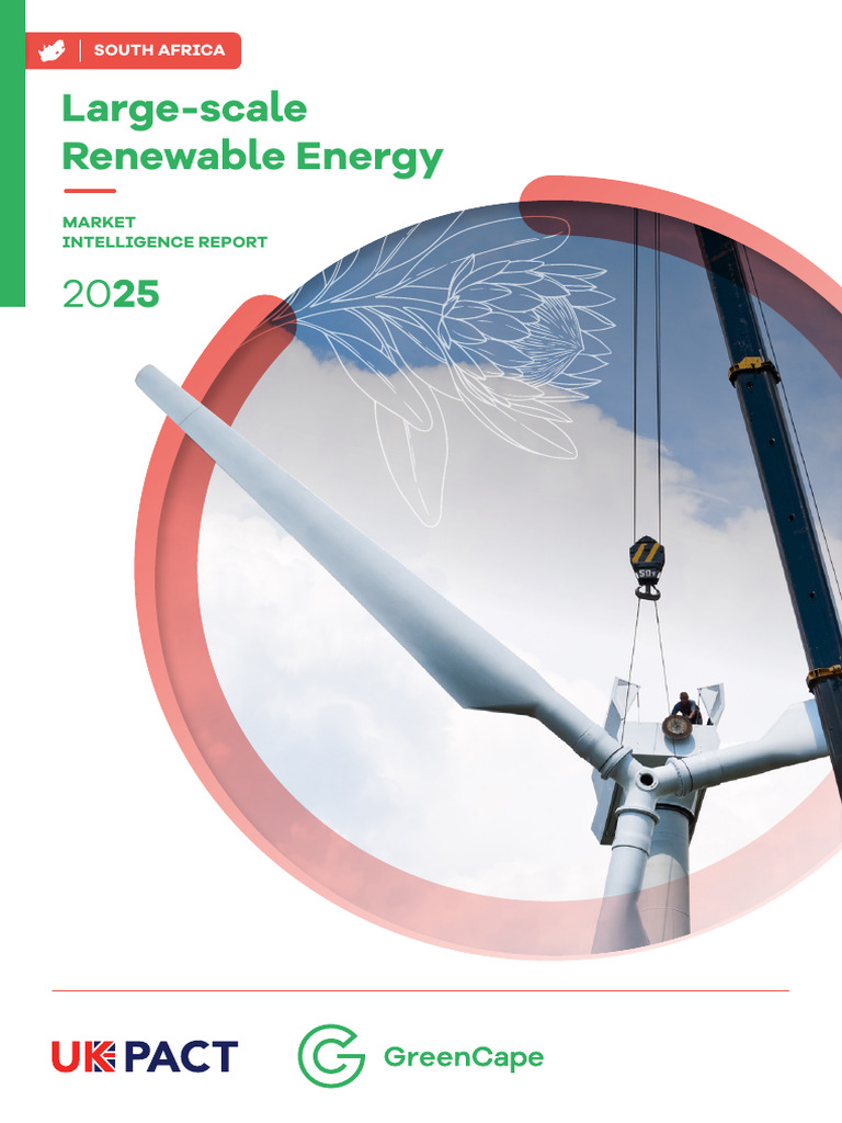 Large Scale Renewable Energy 2025 | PDF | Renewable Energy | Photovoltaics