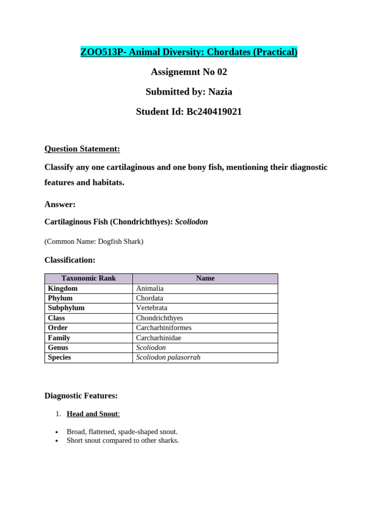 Zoo513p Ass 2 | PDF | Sharks | Vertebrates