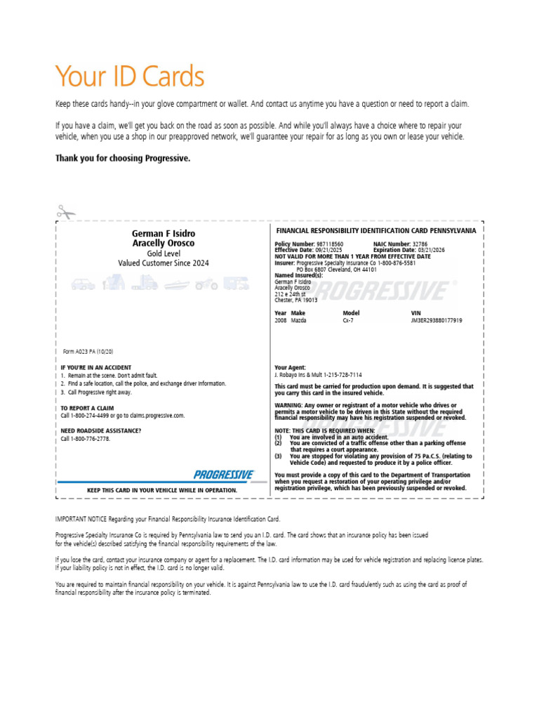 ID Card | PDF | Identity Document | Insurance