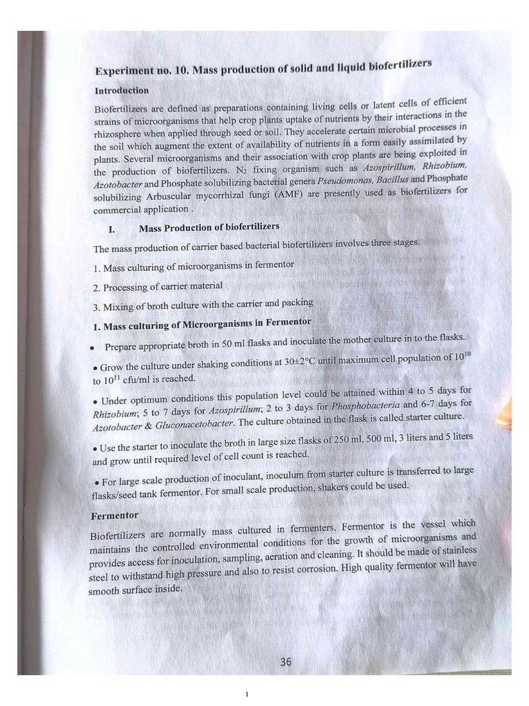 Pratical | PDF