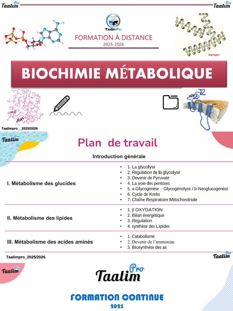 Bioch - Metabolique-Complet - Copie Etudiants | PDF