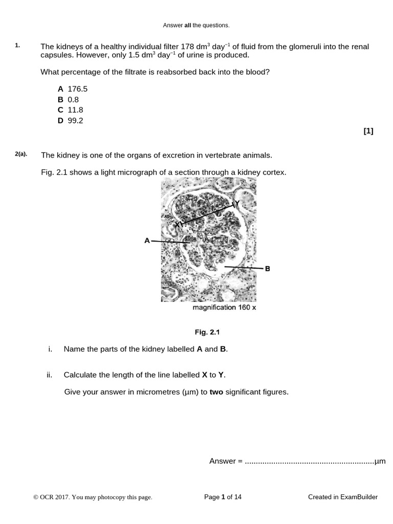 Liver Research Question Dissection and Answers | PDF | Kidney ...
