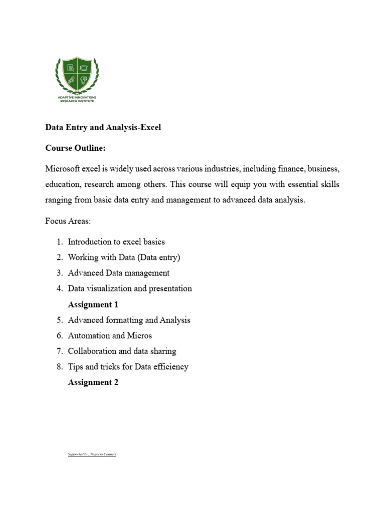 Excel Data Entry and Analysis-Outline | PDF