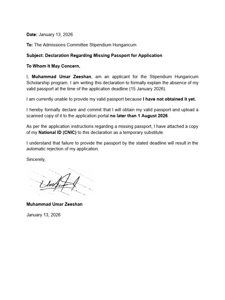 Declaration Missing Passport | PDF