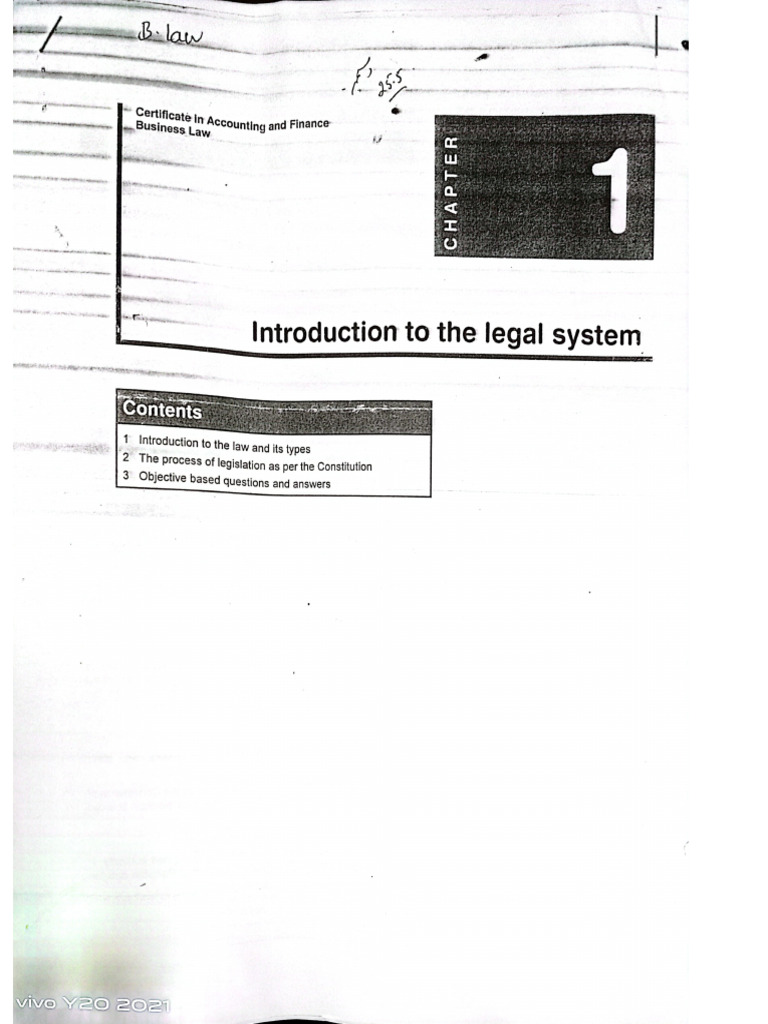 Introduction To The Legal System | PDF