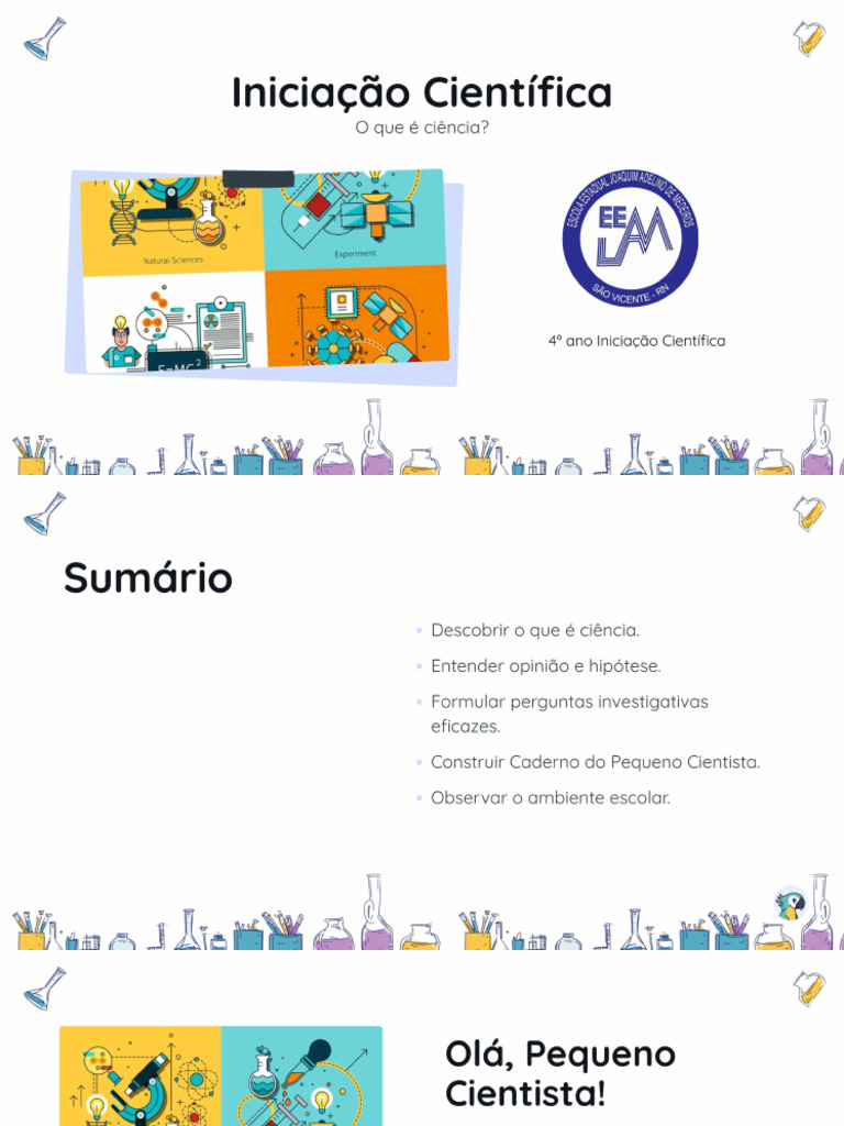 Iniciao Cientfica - 4º ANO | PDF