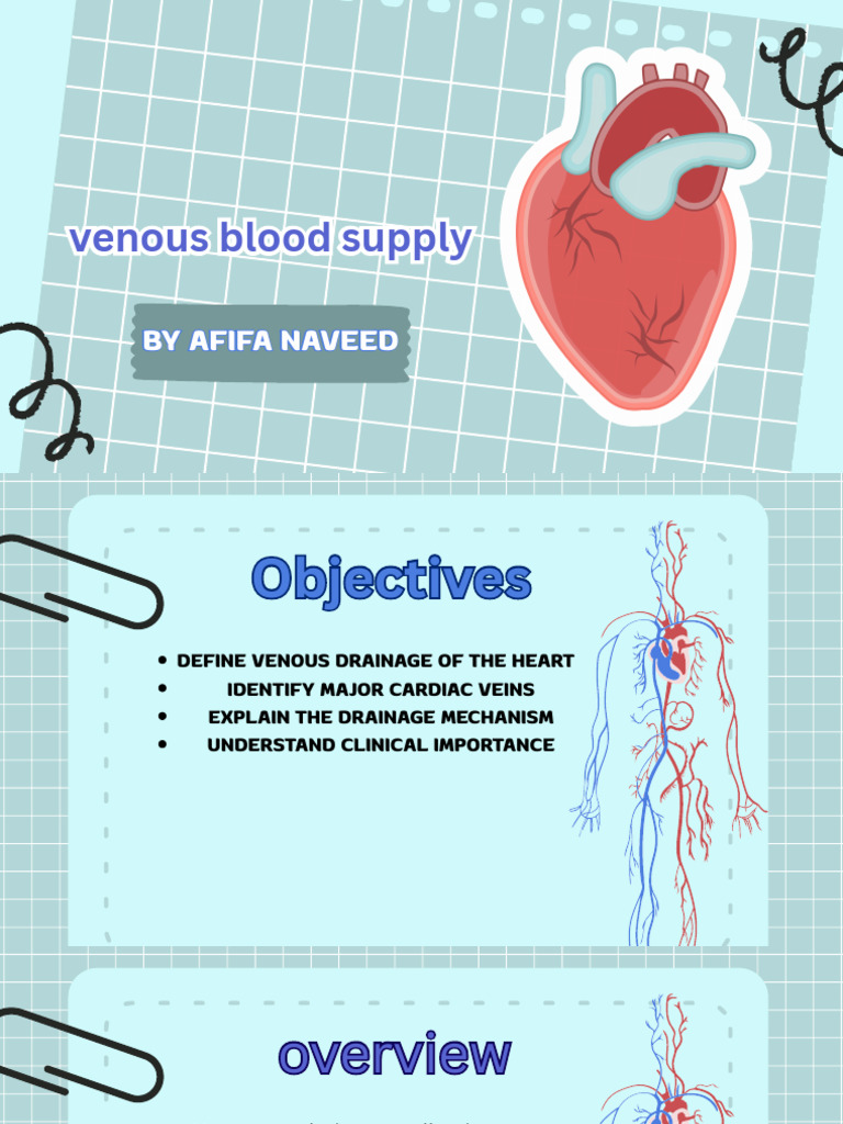 Anatomy Presentation Afifa | PDF | Coronary Circulation | Vein