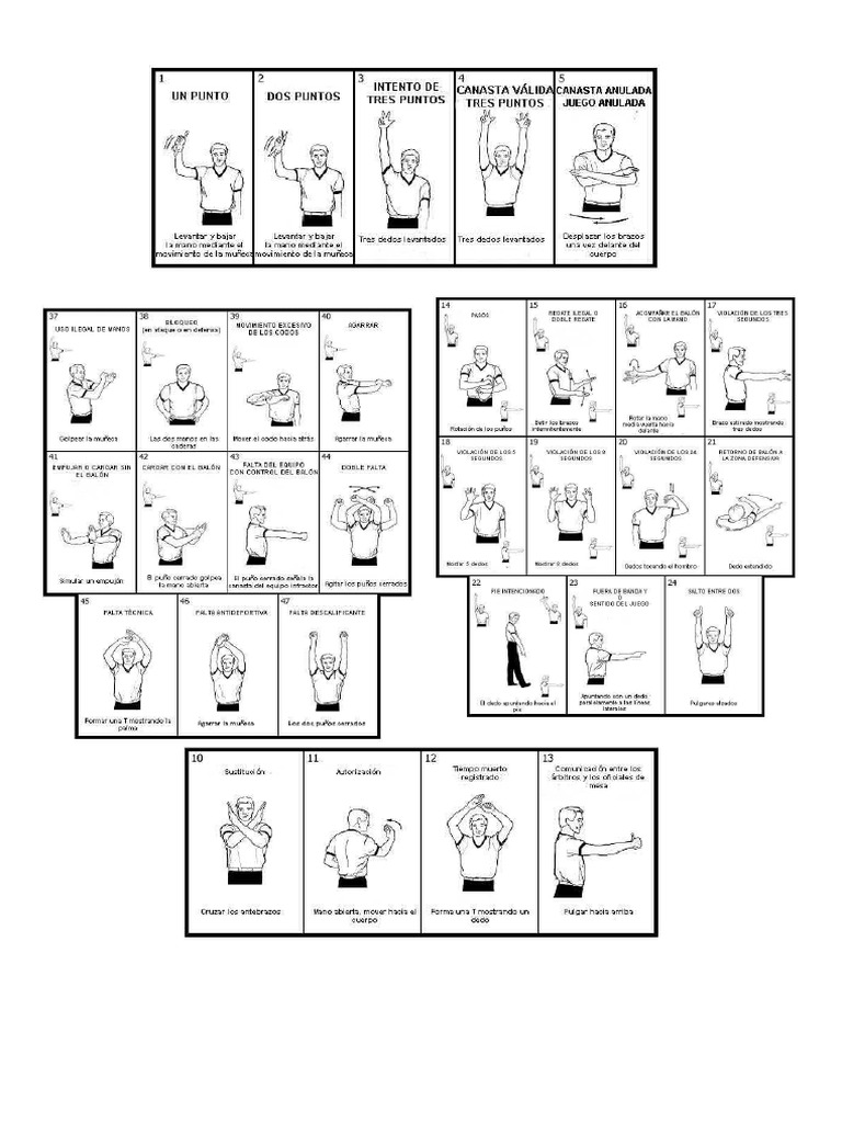 Basket | PDF