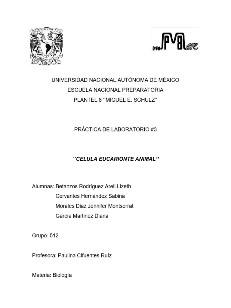 Enfoque con microscopio optico | PDF | Biología Celular) | Eucariotas