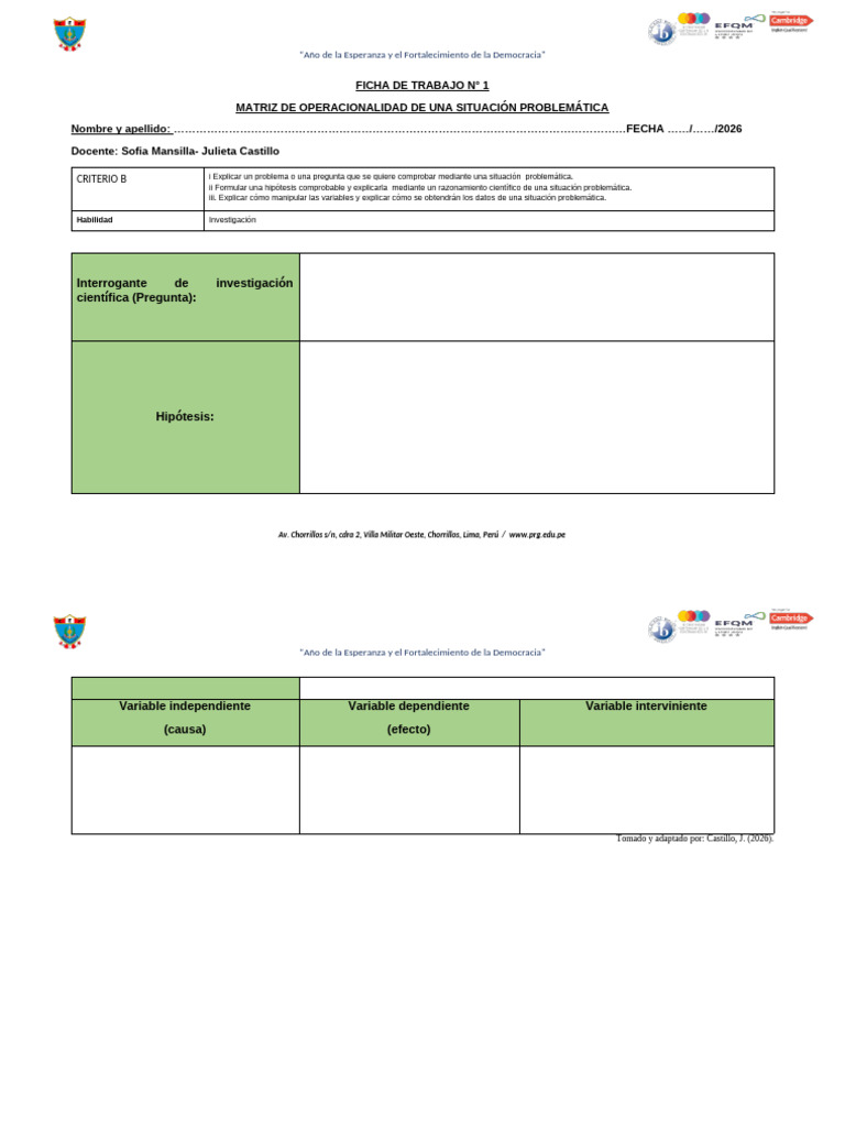 Matriz de Operacionalidad- Situación Problemática. (1) | PDF