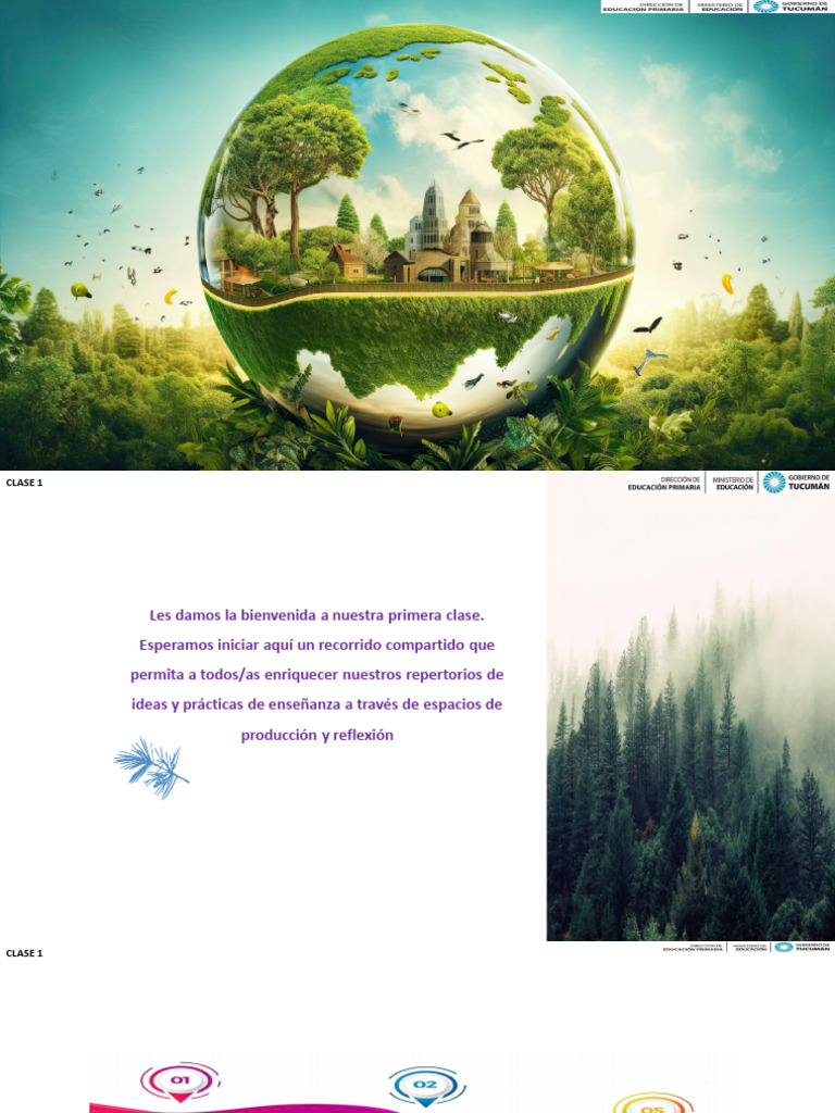 Curso EAI Clase 1 | PDF | Sustentabilidad | Entorno natural