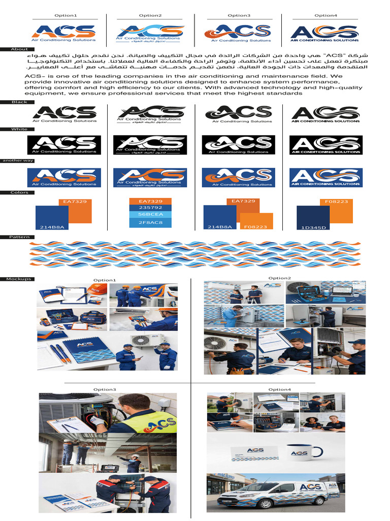 ACS (4 Options) | PDF