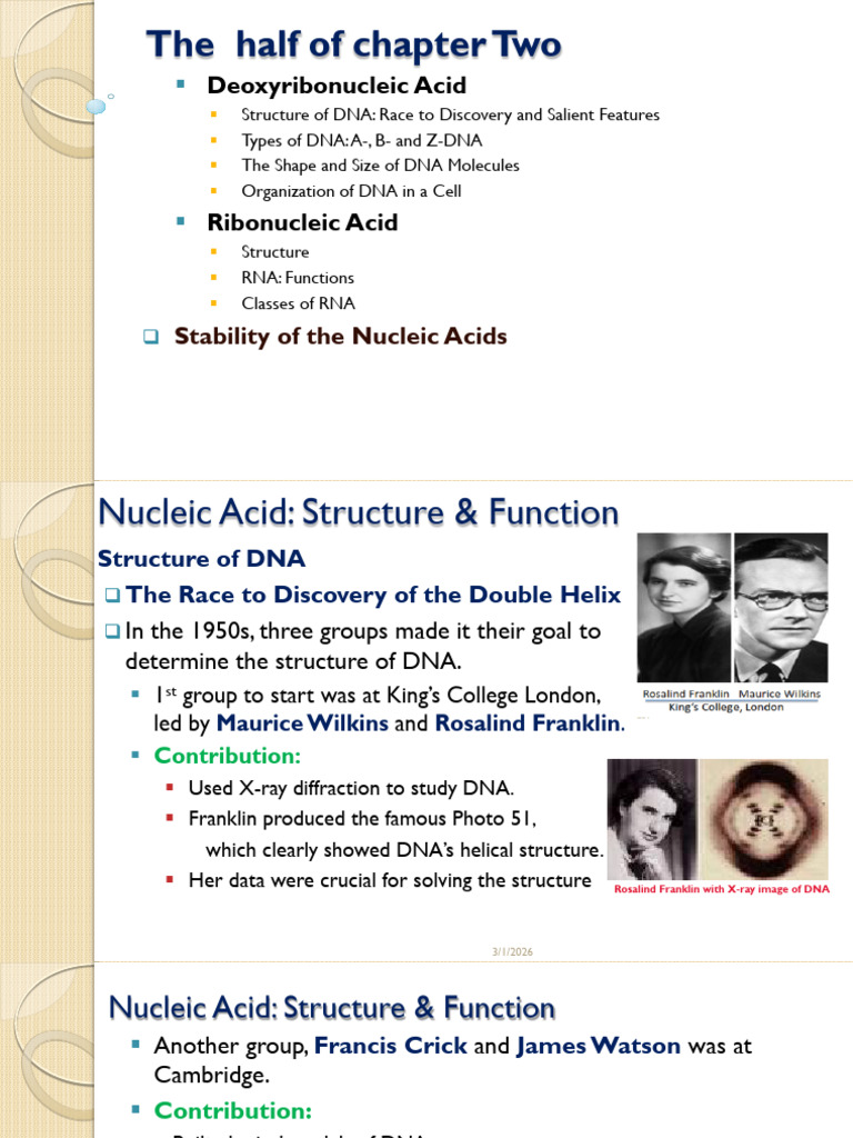 The Half of Chapter Two | PDF | Rna | Ribosome