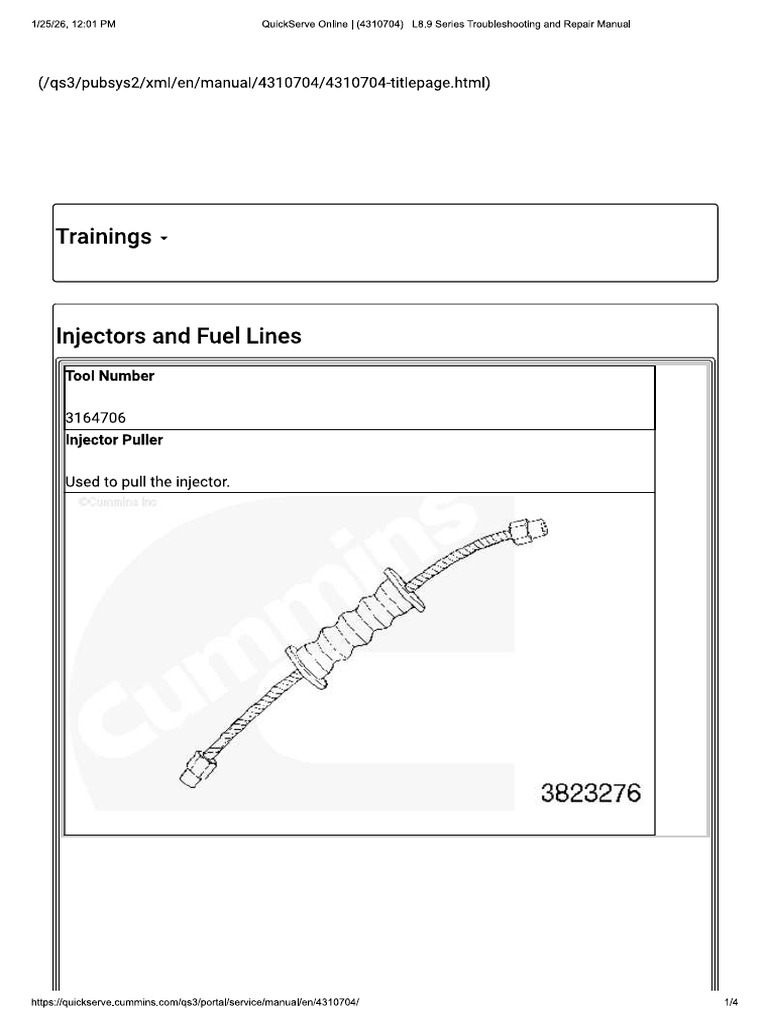10 Injector & Fuel | PDF