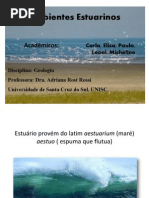 Ambientes Estuarinos