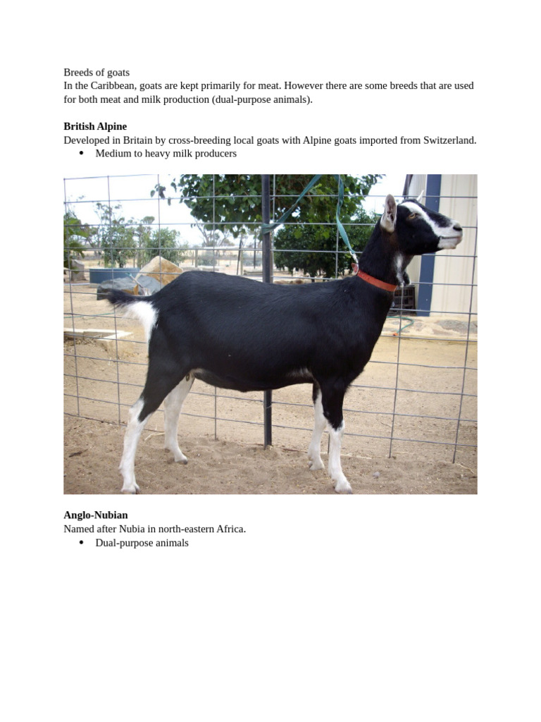 Breeds of Goats | PDF